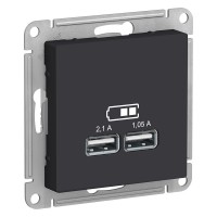 Розетка USB 2 порта 5В max 2,1 А Карбон механизм AtlasDesign
