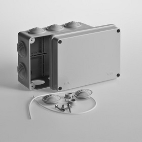 image (2)